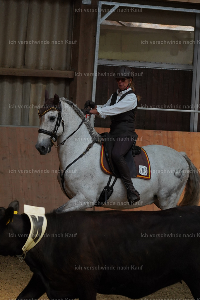 KlasseS_Lucie (35) | working equitationturnier fotograf videograf stoibphotography marixx film working equitation deutschland reitsport turnierfotografie eventfotografie equestrian events