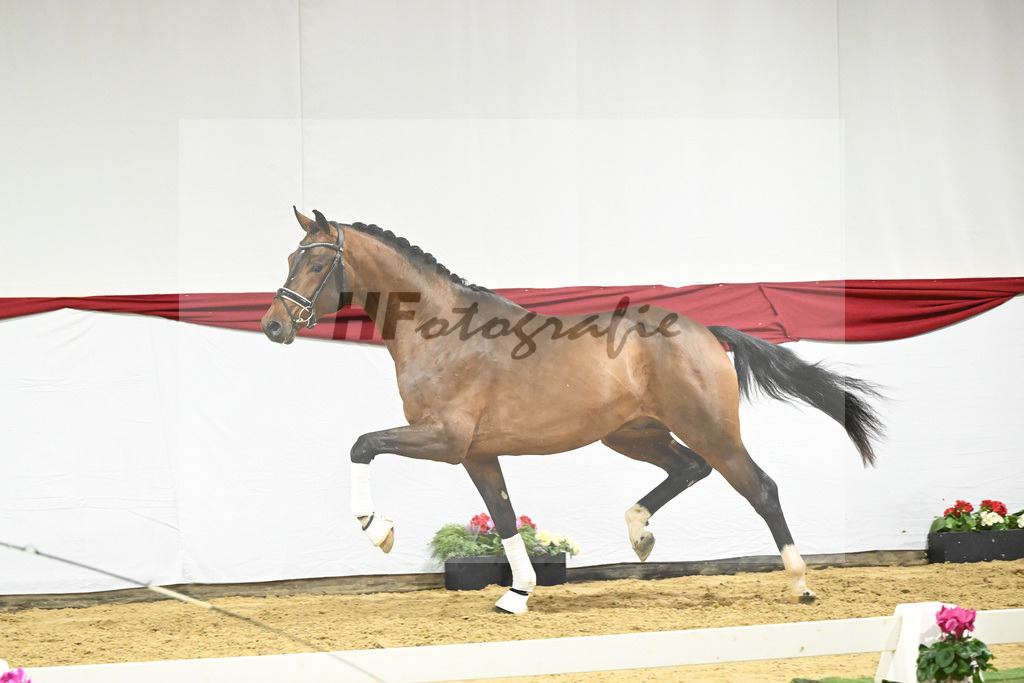Kat-Nr. 60 v. Valverde_Schoenland_63221819 | hf-fotografie - Realizzato con Pictrs.com