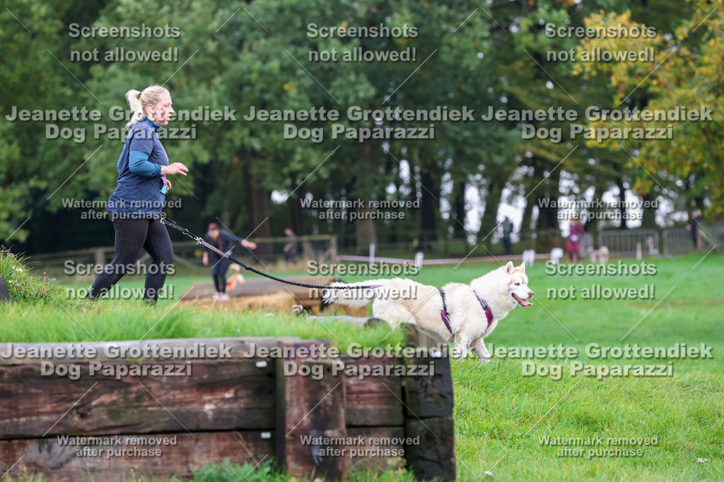 Dog Paparazzi -  SD1026-1866 | Dog Paparazzi Jeanette Grottendiek Fotografie & Videografie - Realisiert mit Pictrs.com