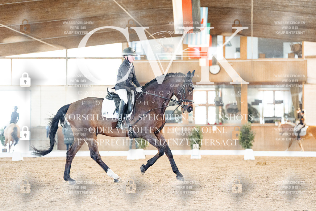 CK907293 | Turnierfotografie Pferdefotografie Trier Rheinland-Pfalz Pferdesport Reitsport Tierfotografie Sportfotografie Pferdevideo Pferdevideografie Equestrianvideography equestrianphotography  - Realized with Pictrs.com