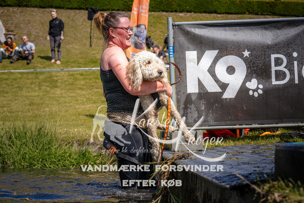 _ZZ960461013 | kk-dogfotos