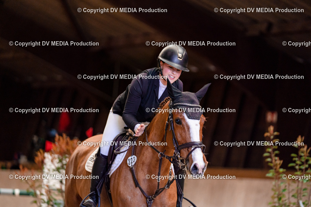 Springen Tag 1-547 | dv-media-shop - Realisiert mit Pictrs.com