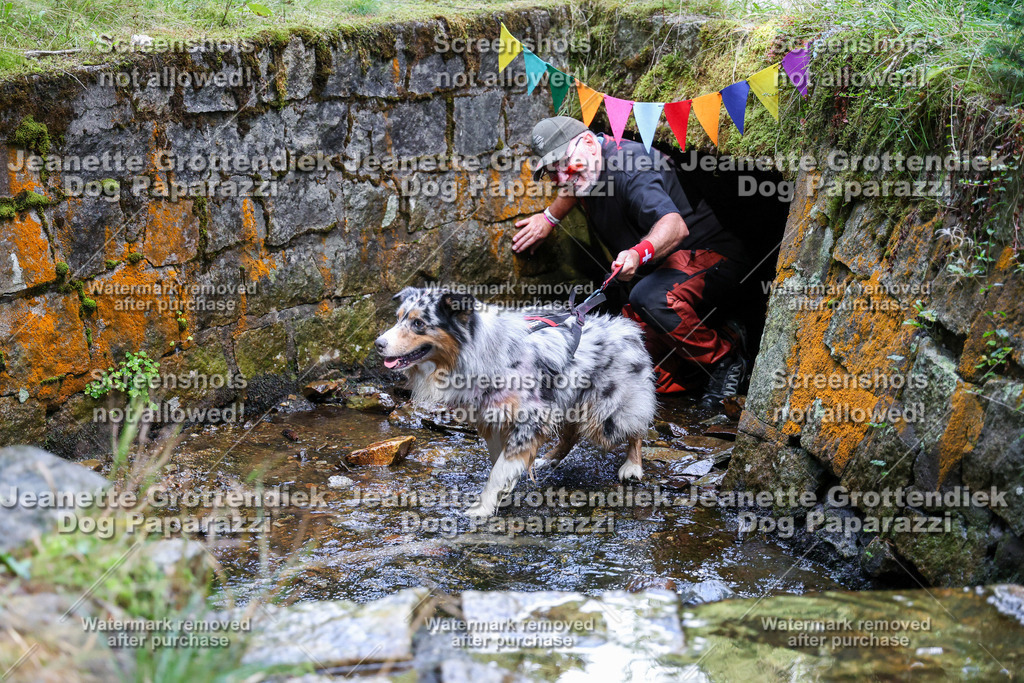 Dog Paparazzi -  TH 26-496 | Dog Paparazzi Jeanette Grottendiek Fotografie & Videografie - Realisiert mit Pictrs.com