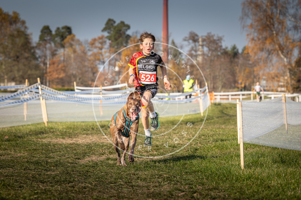 CaniXpix_0L8A8838 | Hundefotografie, Tierfotograf, Pfotenfotografie, Fotoshooting Hund, Hunde Portrait, Hundesport, Hundeportraits, Heideshooting, Hunde, Sportfotograf, Hundefotograf, Turnierhundsport, THS,  - Realisiert mit Pictrs.com
