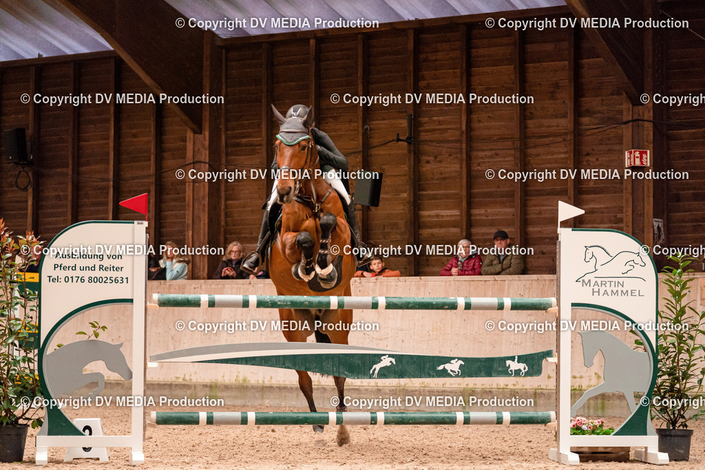 Springen Tag 3-362 | dv-media-shop - Realisiert mit Pictrs.com