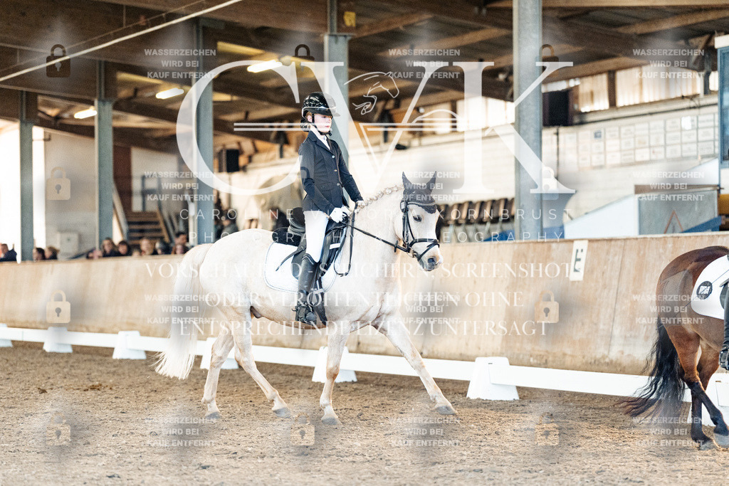 CK907471 | Turnierfotografie Pferdefotografie Trier Rheinland-Pfalz Pferdesport Reitsport Tierfotografie Sportfotografie Pferdevideo Pferdevideografie Equestrianvideography equestrianphotography  - Realisiert mit Pictrs.com