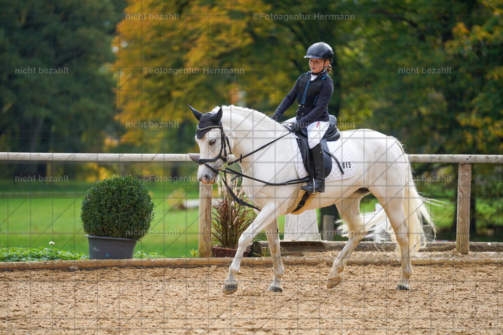 20221008-FAH01201 | Diessen am Ammersee, 2022, Dressur- und Springturnier, Reitsportbilder, Turnierfotografen Bayern, Pferdefotografen, Fotoagentur Herrmann, Turnierbilder