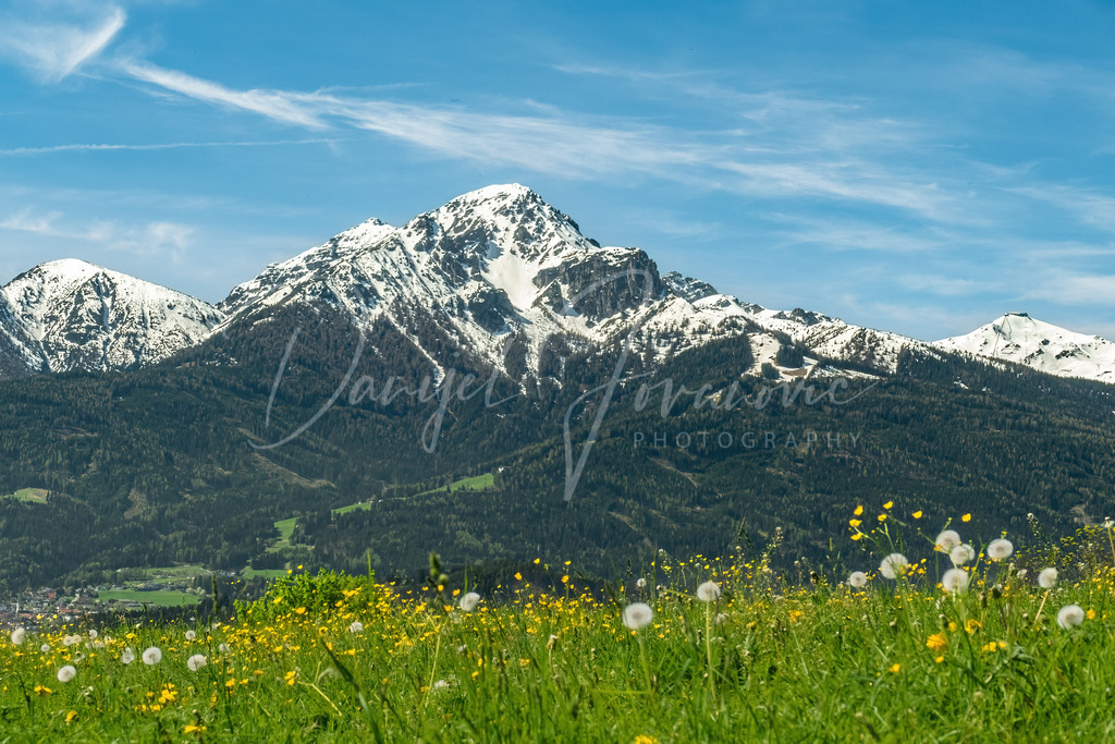 Nockspitze | Frühling mit Blick zur Nockspitze