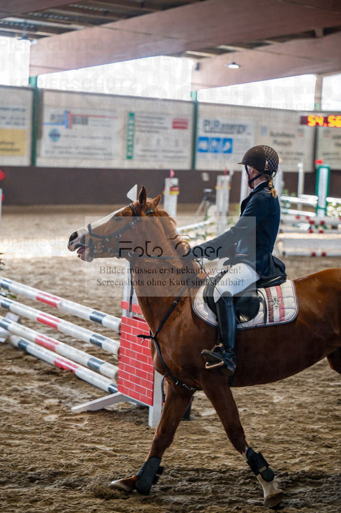 Hallenreittunier Voxtrup 2023 | Entdecke hochwertige Reitturnierfotos von Foto Oger. Professionell, emotional und authentisch – jetzt Lieblingsmomente im Shop bestellen.Deutschlandweite Turnierfotografie. - Realisiert mit Pictrs.com