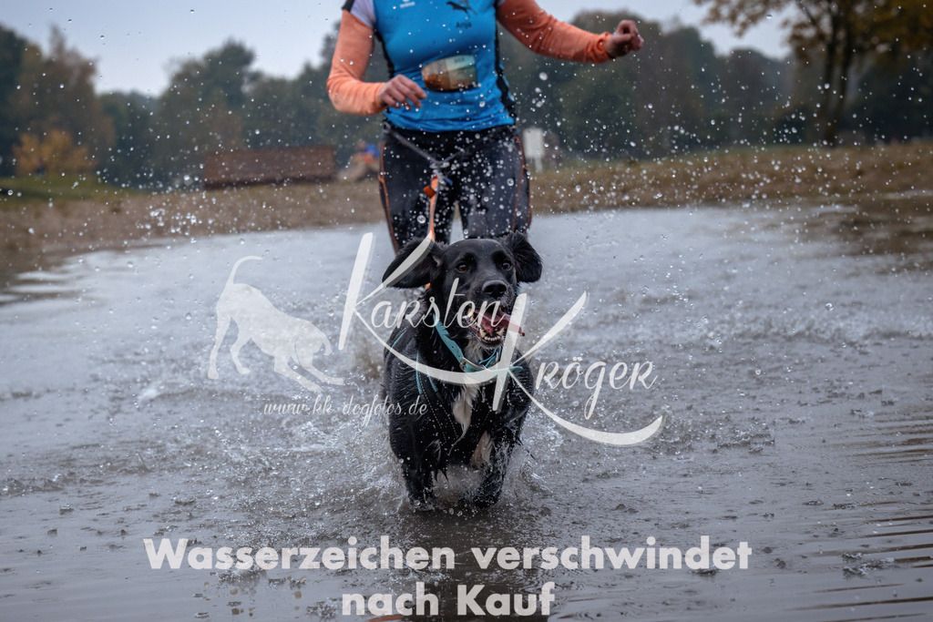 0911_ZZ94578 | kk-dogfotos