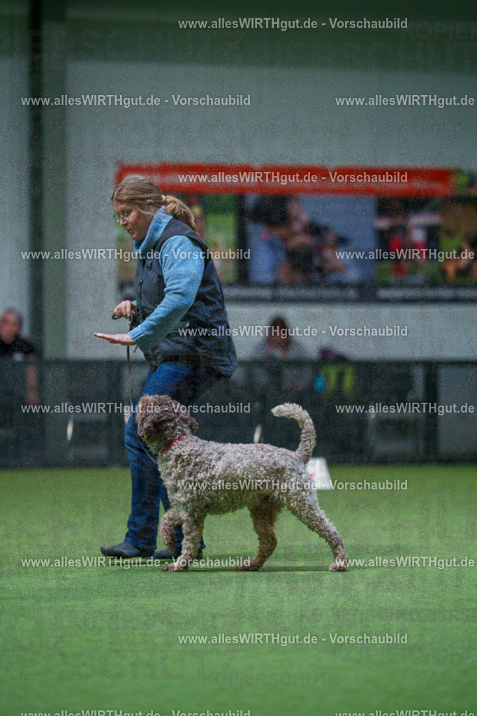 7R503042 | Professionelle Tierfotografie in Mönchengladbach von Daniel Wirth (allesWIRTHgut). Liebevolle & natürliche Bilder von Hunden & Katzen für unvergessliche Erinnerungen.