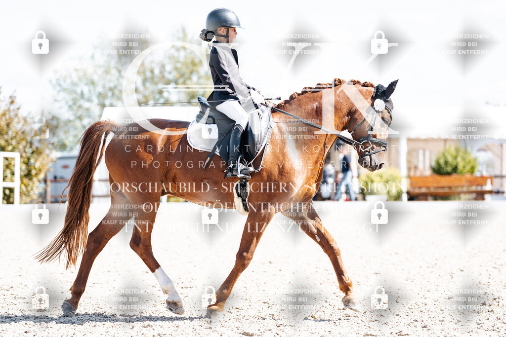 CK903070 | Turnierfotografie Pferdefotografie Trier Rheinland-Pfalz Pferdesport Reitsport Tierfotografie Sportfotografie Pferdevideo Pferdevideografie Equestrianvideography equestrianphotography  - Realisiert mit Pictrs.com