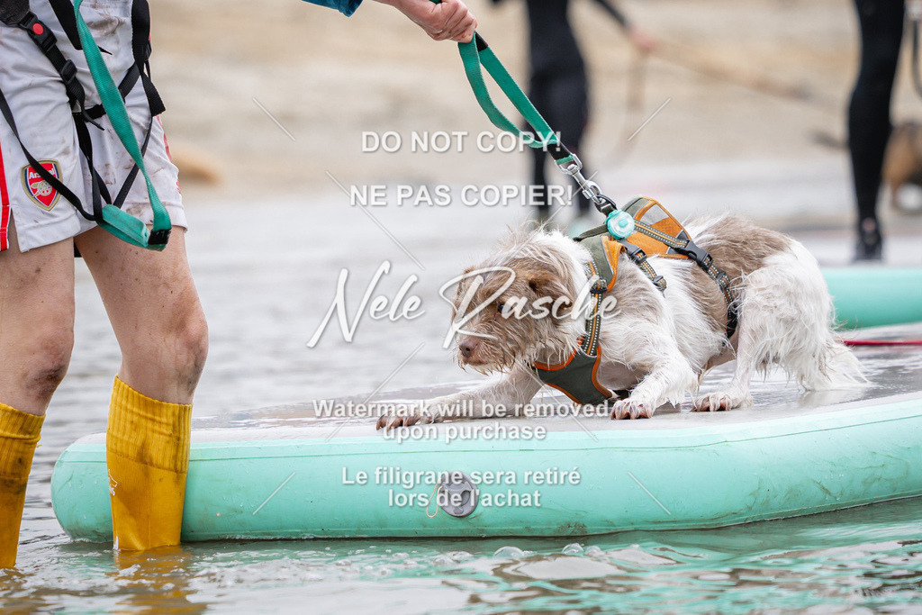 nelerasche_Hulsbeek_Sa1100-1130_79 | nelerasche