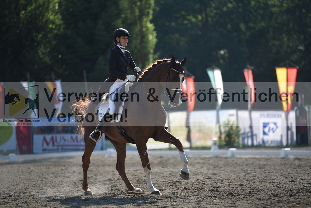DSC_2874 | equestrian-live-com