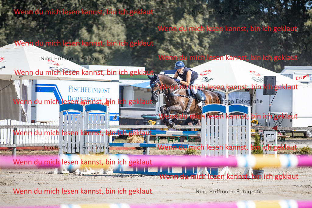 BK1A6772 | Turnierbilder Turnierfotos Nina Hüffmann Turnierfotografie Pferdefotografie Tierzeichnung Haustierzeichnung Pferdezeichnung Hundezeichnung Videograf  - Realisiert mit Pictrs.com