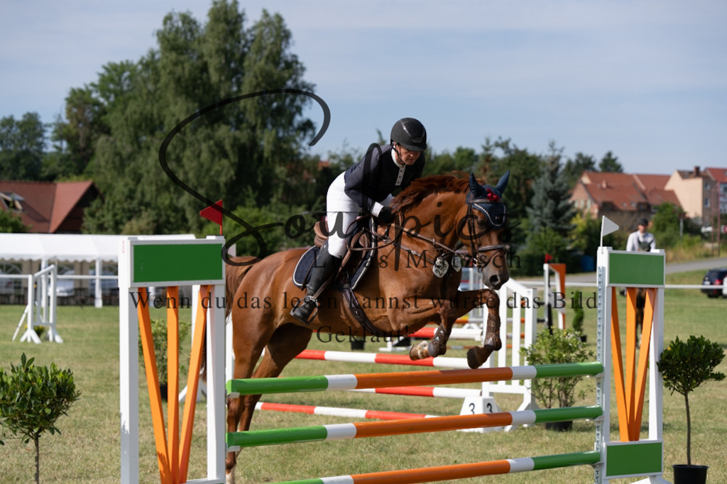 A7V01481 | Pferdefotograf