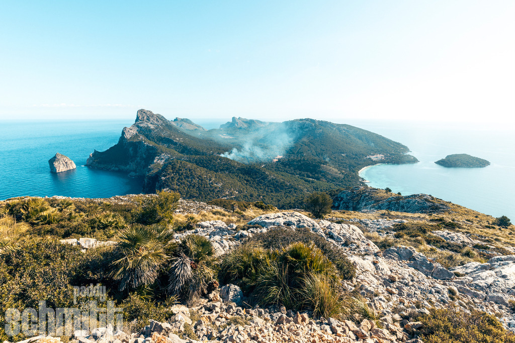 PS-Mallorca-2026-12 | Entdecke die größte Bildgalerie der Region mit Fotografien aus dem Allgäu, der Bodenseeregion, Oberschwaben, dem Donautal und der Schwäbischen Alb. Landschaften, Luftaufnahmen und Reisefotografie als Wandbild und Fotokunst. - Realisiert mit Pictrs.com