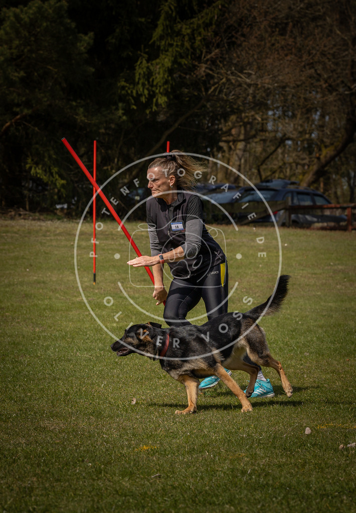 Pfotenfotografie_DV3A4226 | Hundefotografie, Tierfotograf, Pfotenfotografie, Fotoshooting Hund, Hunde Portrait, Hundesport, Hundeportraits, Heideshooting, Hunde, Sportfotograf, Hundefotograf, Turnierhundsport, THS,  - Realisiert mit Pictrs.com