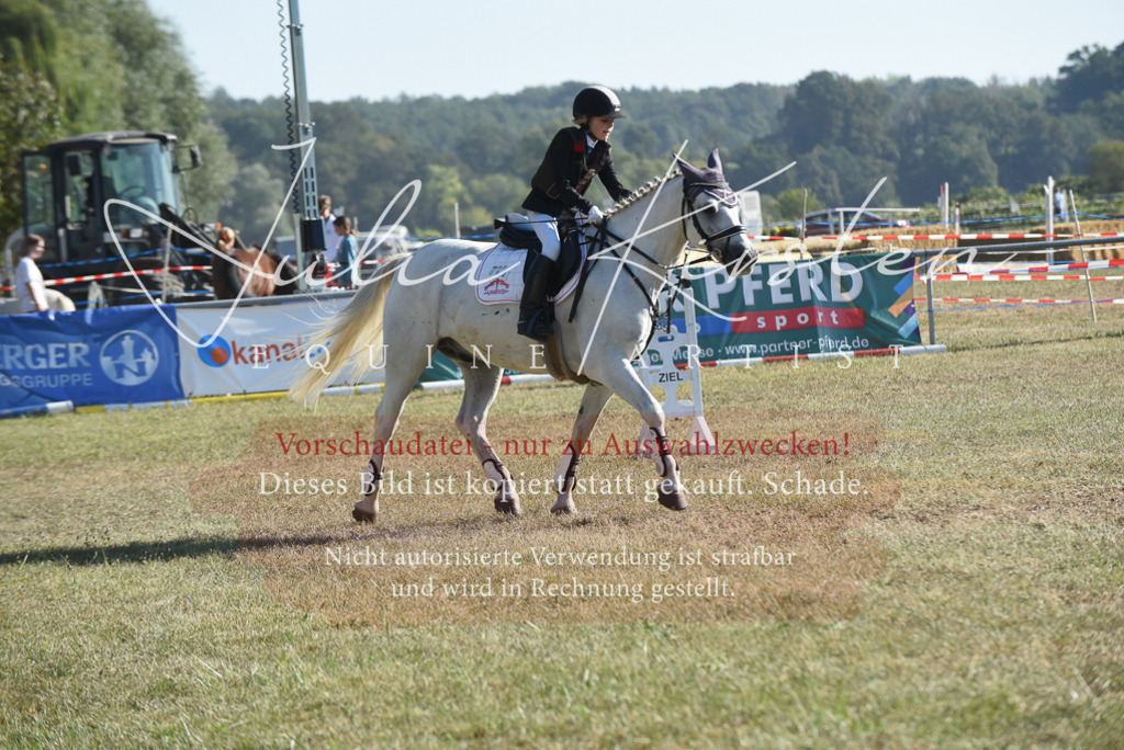 DSC_5727 | Pferde- und Turnierfotografie in Westsachsen. Pferdeportraits, Auftragszeichnungen und intuitive Kunst.