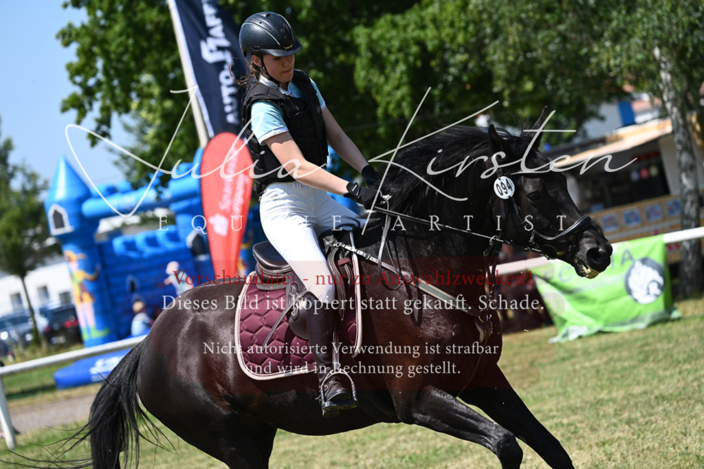 DSC_0726 | Pferde- und Turnierfotografie in Westsachsen. Pferdeportraits, Auftragszeichnungen und intuitive Kunst.