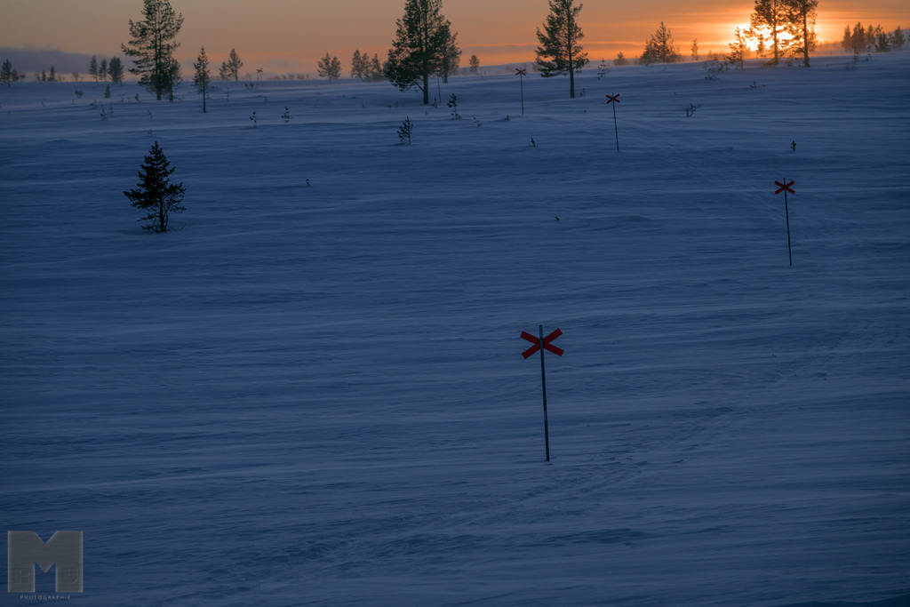 Winterwegmarkierungen | Landschafts- und Tierfotografie zu allen Jahreszeiten. Und immer die Schönheit des Lichtes im Auge... - Realisiert mit Pictrs.com