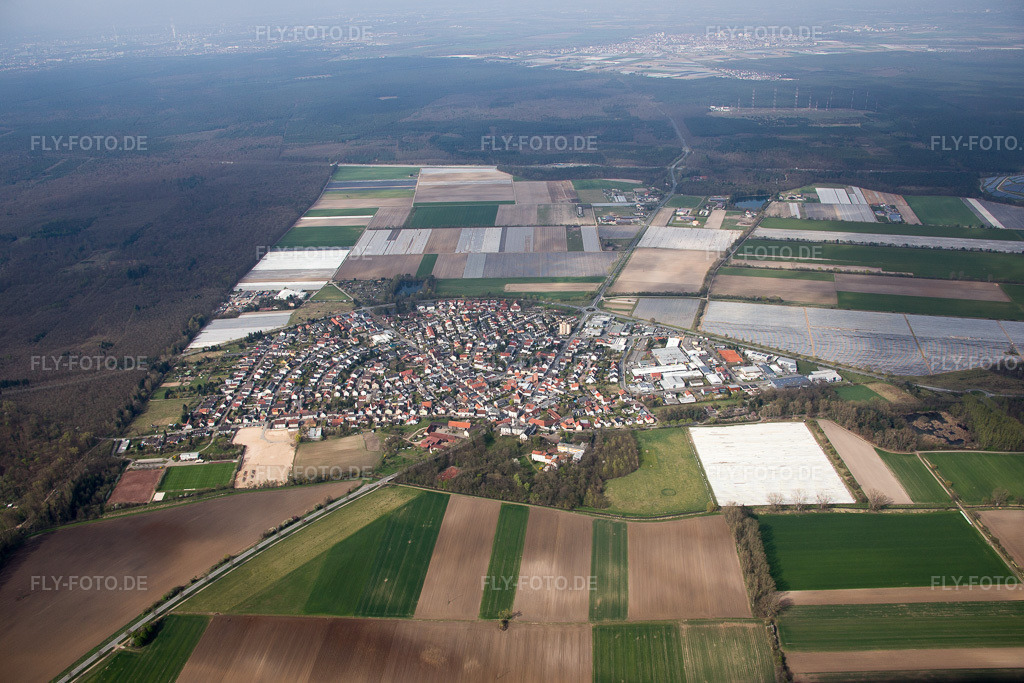 Luftbild: Ortsansicht der Hufeisenförmig angelegten Straßen und Häuser der Wohngebiete im Ortsteil Hüttenfeld in Lampertheim im Bundesland Hessen in Deutschland. Foto: IMG_077038.jpg vom 12.04.2015 durch Werner Riehm/FLY-FOTO.de
