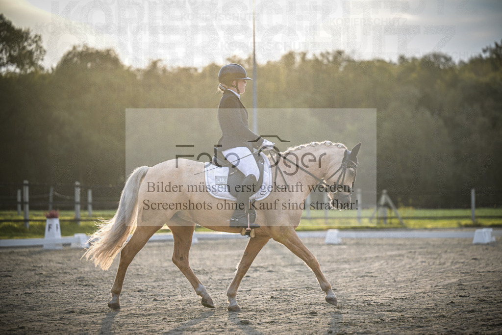 DOS_0880 | Entdecke hochwertige Reitturnierfotos von Foto Oger. Professionell, emotional und authentisch – jetzt Lieblingsmomente im Shop bestellen.Deutschlandweite Turnierfotografie. - Realisiert mit Pictrs.com