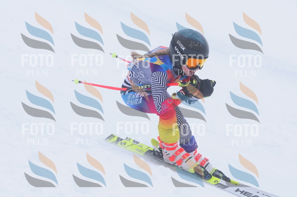 C2840 | holidayphoto