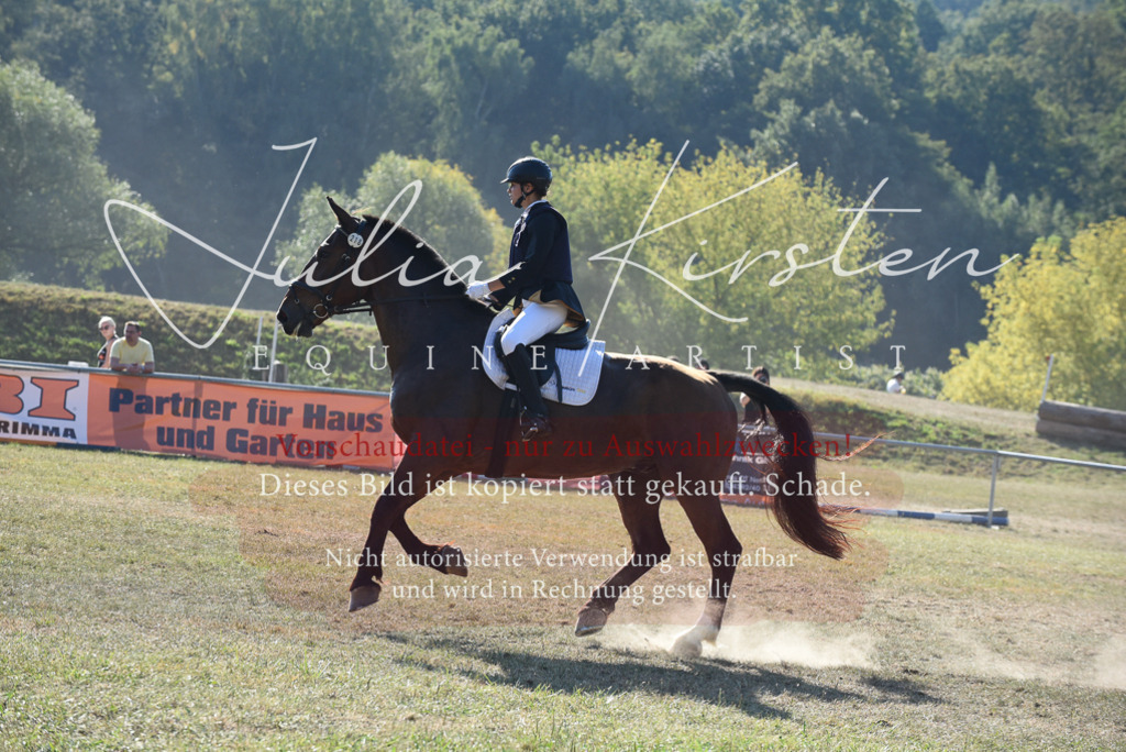 DSC_5780 | Pferde- und Turnierfotografie in Westsachsen. Pferdeportraits, Auftragszeichnungen und intuitive Kunst.