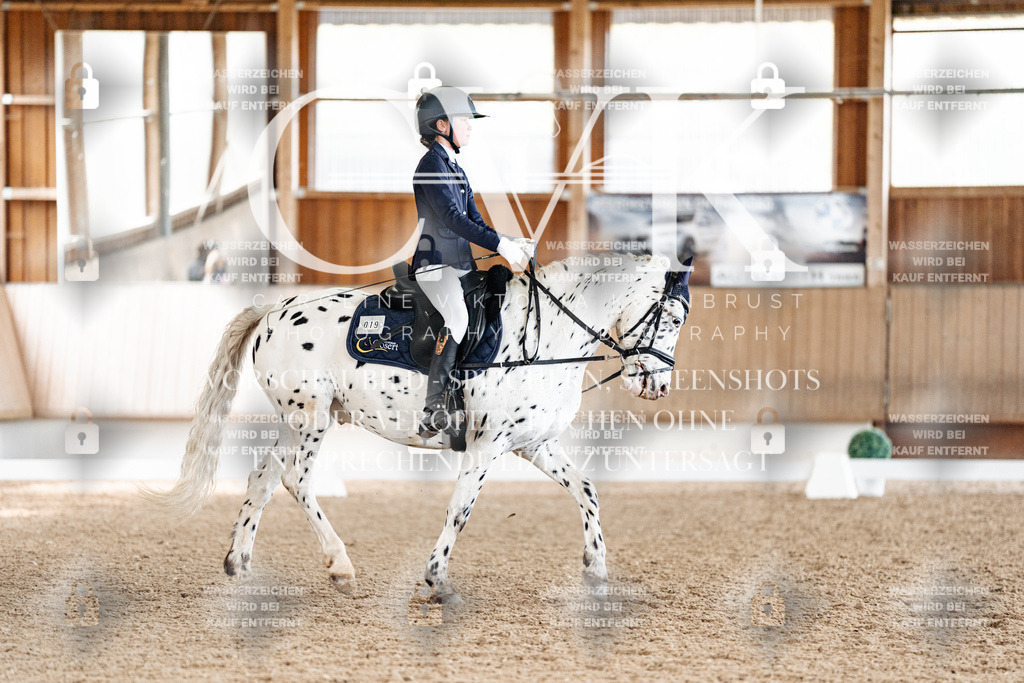 CK900032 | Turnierfotografie Pferdefotografie Trier Rheinland-Pfalz Pferdesport Reitsport Tierfotografie Sportfotografie Pferdevideo Pferdevideografie Equestrianvideography equestrianphotography  - Realisiert mit Pictrs.com
