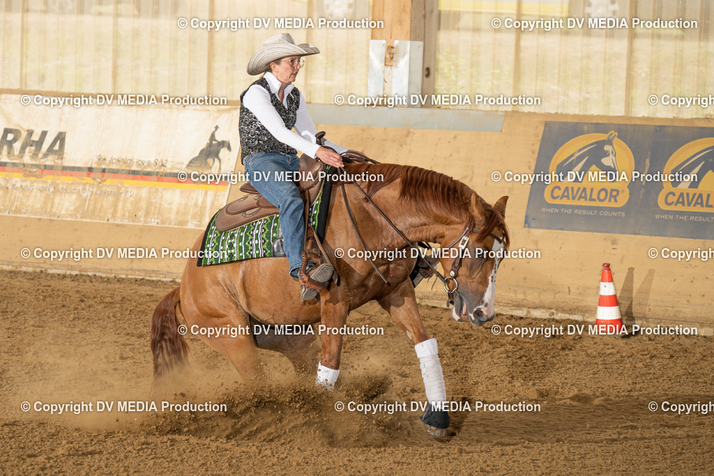 LAU01694 | dv-media-shop - Realisiert mit Pictrs.com