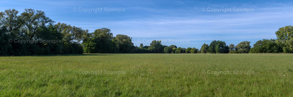 PAN_Outlook_Summer_Meadow3 | sparepix - Realisiert mit Pictrs.com