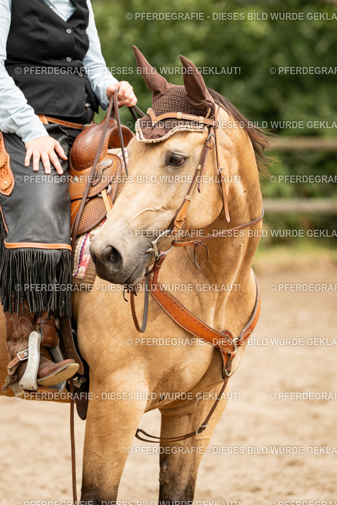 DSC01067 | Pferdegrafie