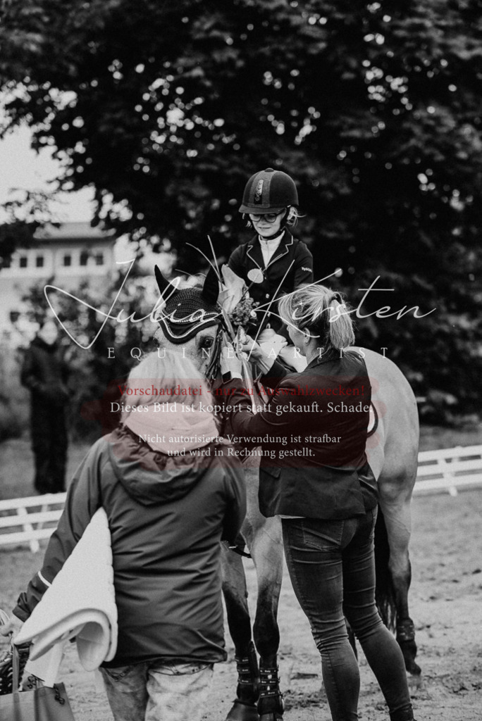 DSC_0280 | Pferde- und Turnierfotografie in Westsachsen. Pferdeportraits, Auftragszeichnungen und intuitive Kunst.