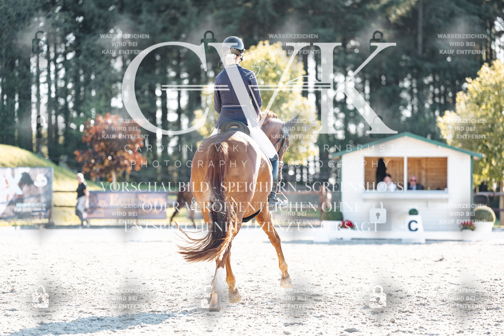 CK906839 | Turnierfotografie Pferdefotografie Trier Rheinland-Pfalz Pferdesport Reitsport Tierfotografie Sportfotografie Pferdevideo Pferdevideografie Equestrianvideography equestrianphotography  - Realisiert mit Pictrs.com