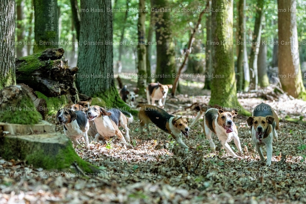 A1B08848 | foto-team-bernhard - Realisiert mit Pictrs.com