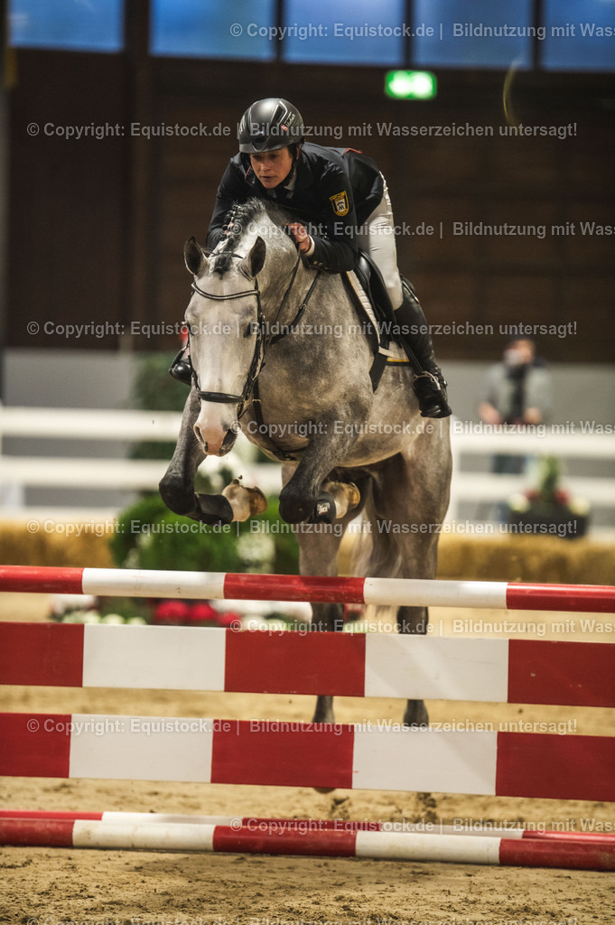 20240302_Hengstvorstellung_Marbach_TOMsPiC_0327 | equistock