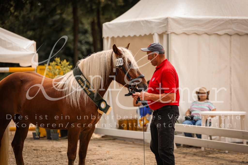 5.Sa00057 | Leoni Ertmer Photography - Realisiert mit Pictrs.com