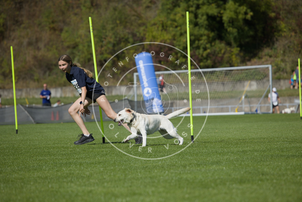 0L8A6050 | Hundefotografie, Tierfotograf, Pfotenfotografie, Fotoshooting Hund, Hunde Portrait, Hundesport, Hundeportraits, Heideshooting, Hunde, Sportfotograf, Hundefotograf, Turnierhundsport, THS,  - Realisiert mit Pictrs.com
