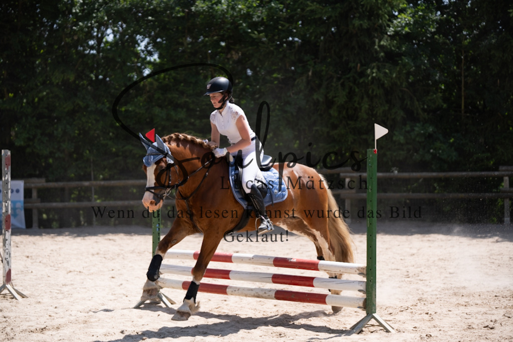 A7V08380 | Pferdefotograf