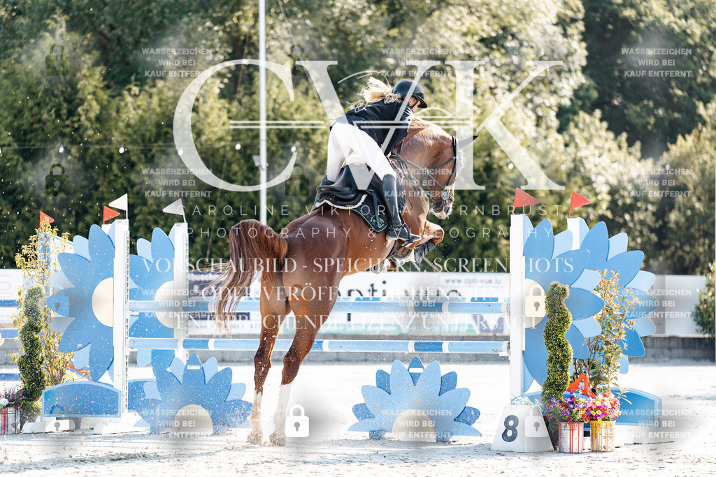 CK901550 | Turnierfotografie Pferdefotografie Trier Rheinland-Pfalz Pferdesport Reitsport Tierfotografie Sportfotografie Pferdevideo Pferdevideografie Equestrianvideography equestrianphotography  - Realisiert mit Pictrs.com