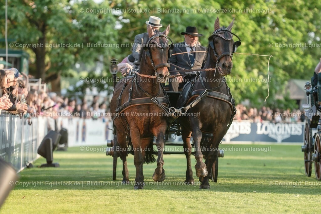 20230526_Pferdenacht_0125 | equistock