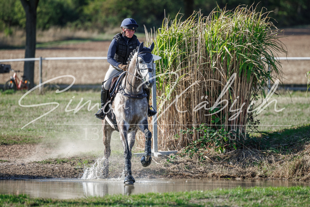 20260905-_3LI0678 | Tierfotografie Pferde, Hunde, Katzen, Haustiere.
Turnierfotografie Reitturniere, Reiten, Springreiten, Dressur in Hanau, dem Main-Kinzig-Kreis und dem Rhein-Main- Gebiet um Frankfurt