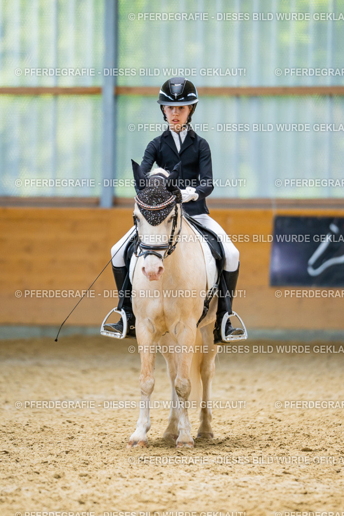 DSC09042 | Pferdegrafie