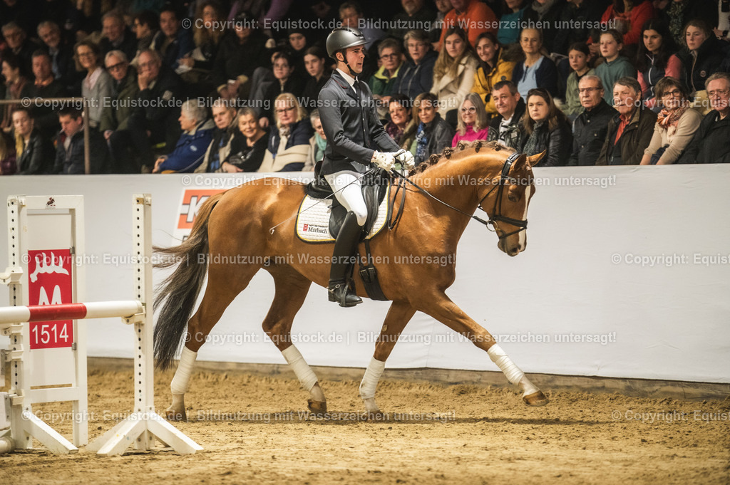 20240302_Hengstvorstellung_Marbach_TOMsPiC_0362-2 | equistock