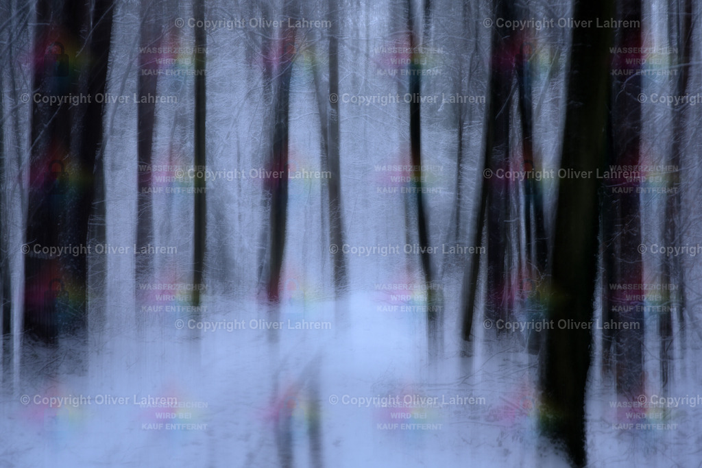 Düsterer Heimatwald | Blick in den winterlichen Wald von Klein Welzheim / Seligenstadt.Die Bilder wurden mit einer Fotografische Technik aufgenommen und haben dadurch ein spezielle Ästhetik.