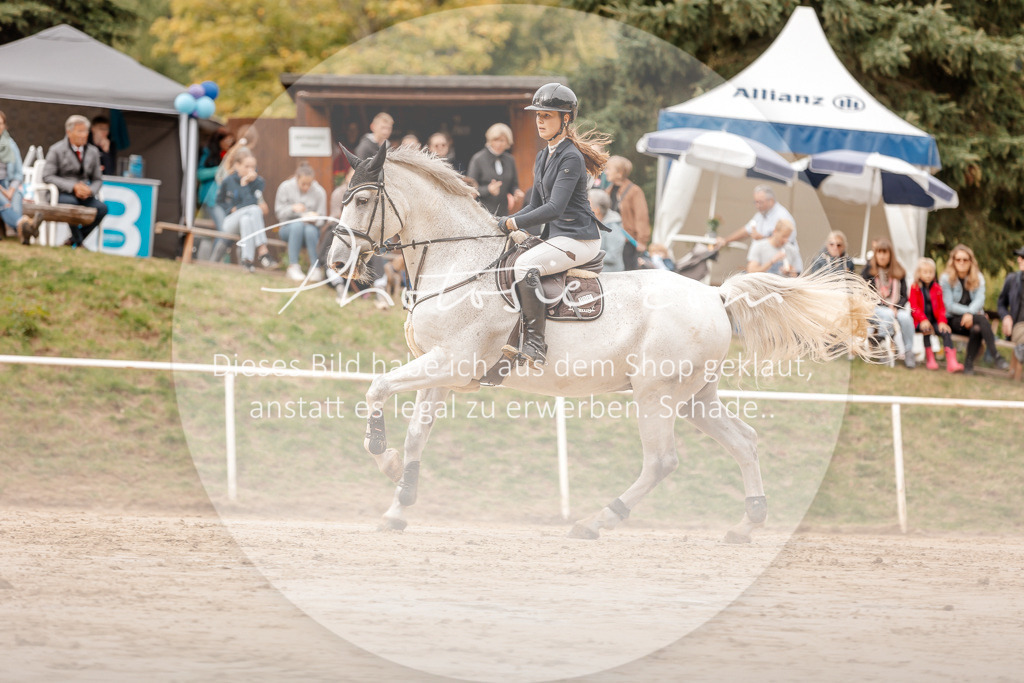 3I6A8118 | Stimmungsvolle Portraits und Reitsportfotografie im Ruhrgebiet und im Münsterland.

Pferdefotografie, Hundefotografie, Tierfotografie, Reportagen, Portraits von Tier und Mensch, Turnierfotografie in Bochum, Recklinghausen, Marl, Haltern am See, Dülmen.. - Realisiert mit Pictrs.com