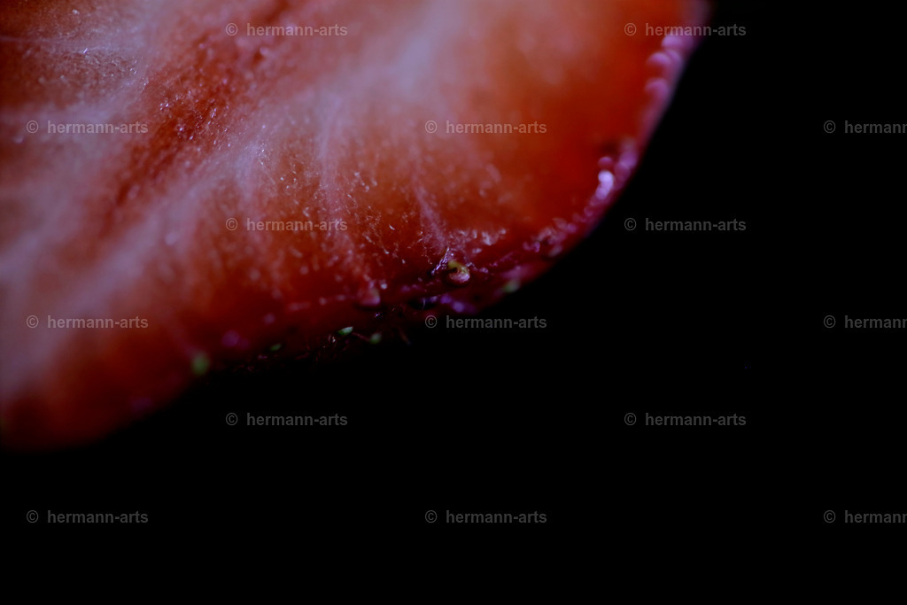 Fruits-Art-023 | Photo Foto Kunst Art schwarzweiss Bilder Rheine Münster Berlin Blumen 