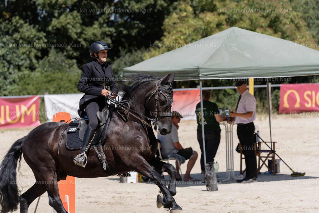 WM_SP_132_SinaFilmArt_IN06909 | working equitationturnier fotograf videograf stoibphotography marixx film working equitation deutschland reitsport turnierfotografie eventfotografie equestrian events