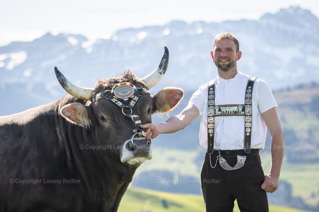 Schwingen -  Lebendpreise Schwägalp 2025 | Schwägalp, 19.4.25, Schwingen - Lebendpreise Schwägalp.